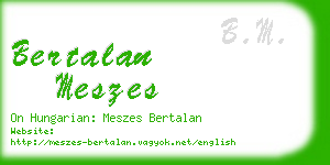 bertalan meszes business card